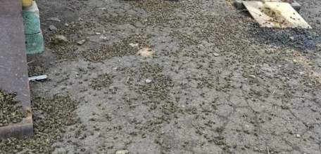 Пчеловоды отсудили у предпринимателя почти 4 миллиона рублей