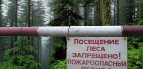 На территории Липецкой области с 4 по 24 мая 2017 года введено ограничение пребывания граждан в лесах и въезда в них транспортных средств