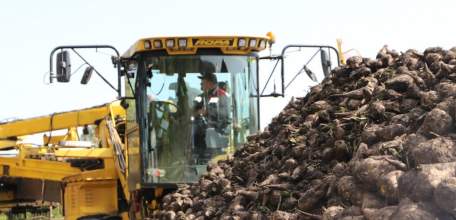 Первый свекольный миллион тонн 2025 года собрали в Липецкой область