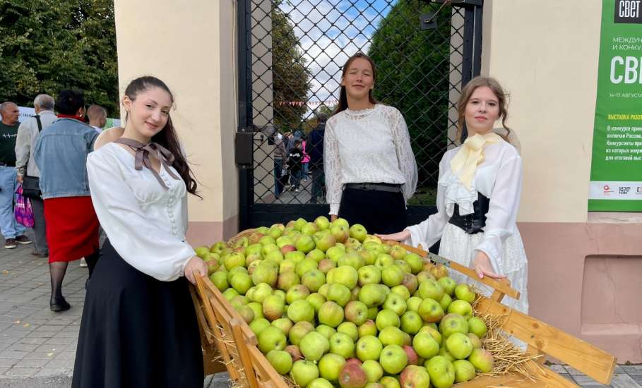 В Ельце состоялся фестиваль «Антоновские яблоки»