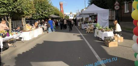 В центре Ельца - угроза жизни жителей!