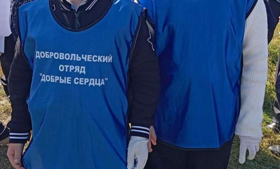 23 сентября члены добровольческого отряда «Добрые сердца» приняли участие в акции по уборке берега Сосны от мусора