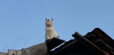 Ссора с женой в Елецком районе может обернуться двумя годами колонии