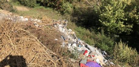 Защитить леса Липецкой области от пожаров планируют, сделав их чище