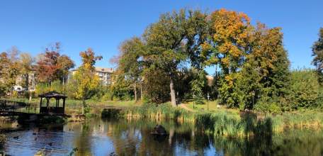 Ребёнок в Ельце оставил на лавочке телефон — его тут же присвоили