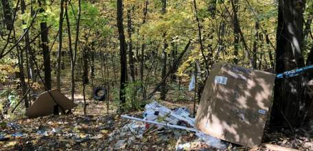 Все овраги Ельца и леса Елецкого района завалены мусором! Нарушители плевать хотели на главу Ельца и Елецкого района!