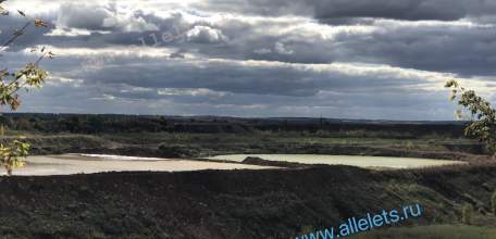 Минобороны: над российскими регионами ночью сбито 84 беспилотника