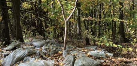 Суд обязал администрацию Ельца выплатить 3 млн рублей ущерба за несанкционированную свалку!