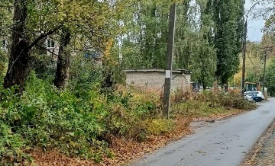 Сотрудники МУП «Елец-Сервис» продолжают работы по благоустройству города