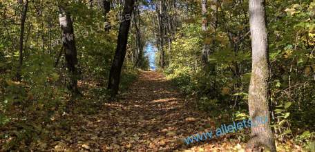 Ограничения на посещение лесов сняли в Липецкой области