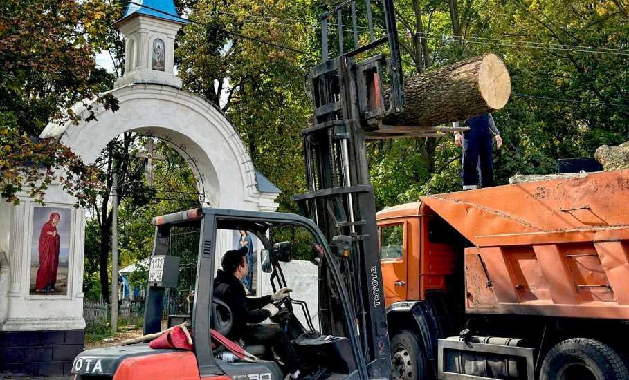 Вячеслав Жабин: «Проверил ход работ по спилу аварийных деревьев на старом городском кладбище»