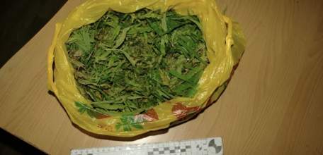 У 33-летнего ельчанина нашли 110 граммов марихуаны