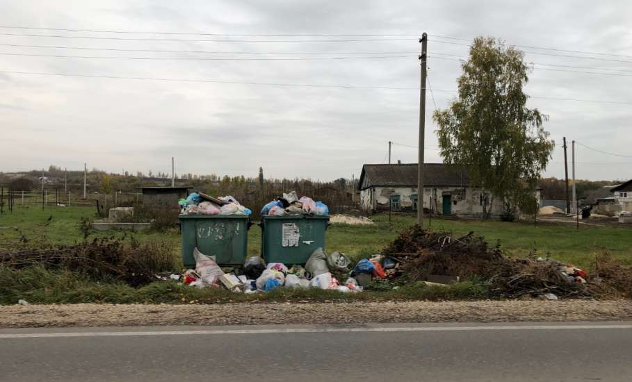В Елецком районе, в деревне Трубицино, образовалась свалка мусора у дороги!