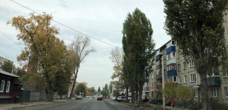 Насколько вырастет стоимость проезда на общественном транспорте в Ельце?