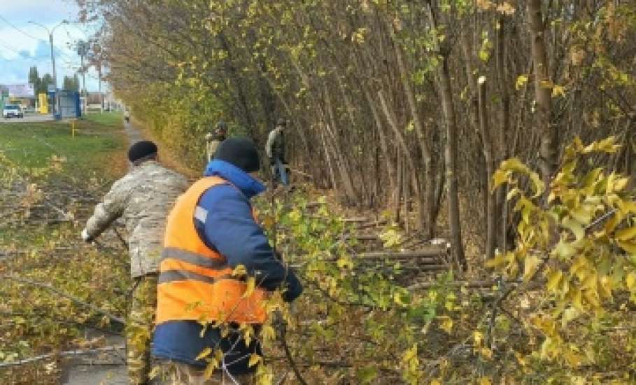 Сотрудники МУП «Елец-Сервис» продолжают работы по благоустройству города