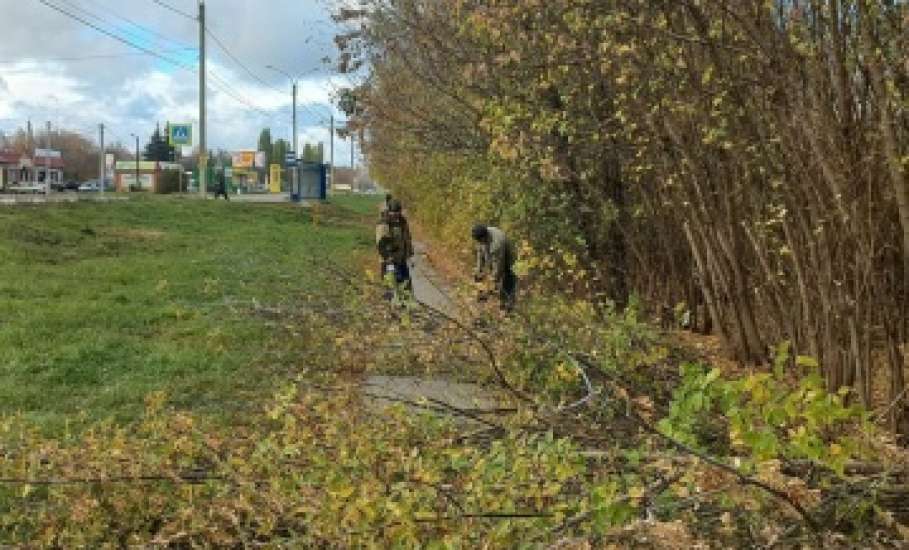 Сотрудники МУП «Елец-Сервис» продолжают работы по благоустройству города
