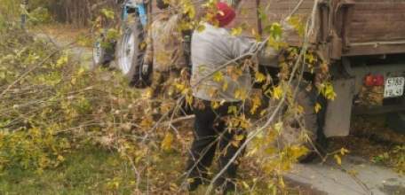 Сотрудники МУП «Елец-Сервис» продолжают работы по благоустройству города