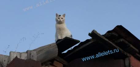 Комитет Госдумы поддержал проект об увеличении МРОТ в России