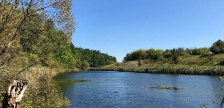 В Елецком районе бывший госинспектор по охране животных и его знакомые обвиняются в фальсификации доказательств и её пособничестве
