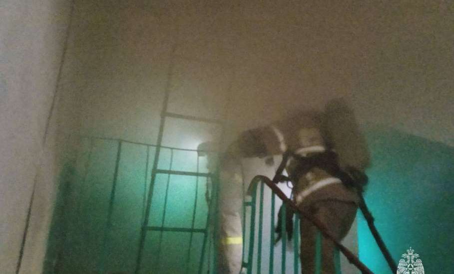 В Ельце в результате пожара погибло 2 человека!