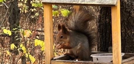 Отбой желтого уровня "Воздушной опасности" для Липецкой области
