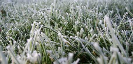 Внимание! Ожидаются заморозки