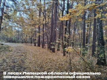 С 17 октября в Липецкой области завершился пожароопасный сезон, который длился с 1 апреля