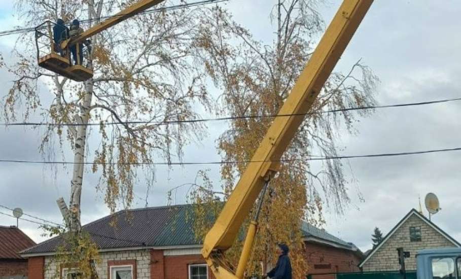 Сотрудники МУП «Елец-Сервис» продолжают работы по благоустройству города