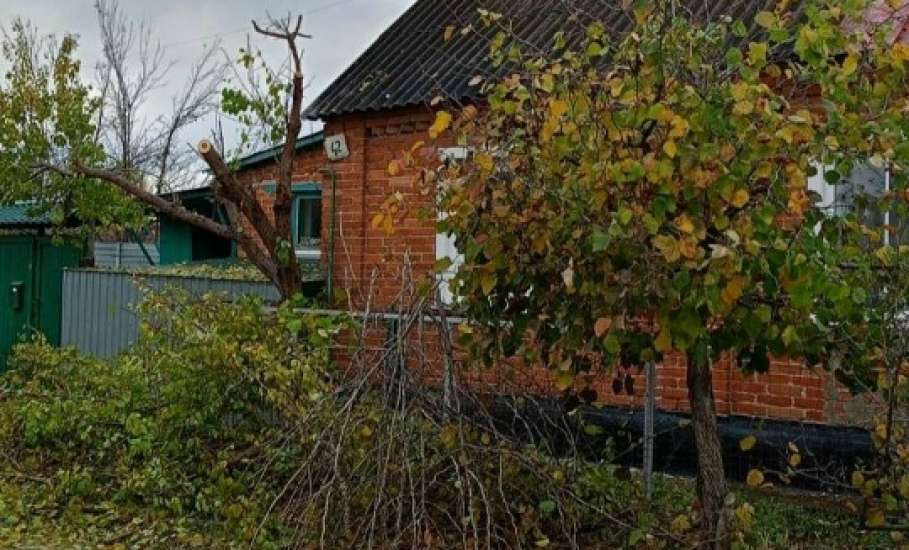 Сотрудники МУП «Елец-Сервис» продолжают работы по благоустройству города