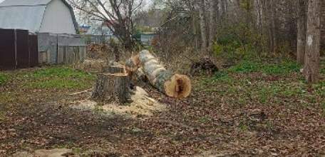 Сотрудники МУП «Елец-Сервис» продолжают работы по благоустройству города