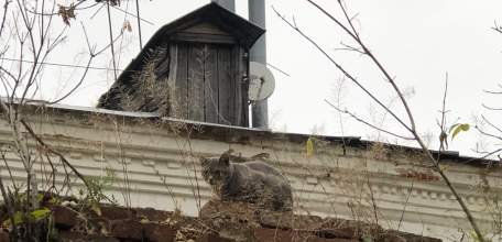 Отбой Красного уровня для г. Елец, Елецкого МР