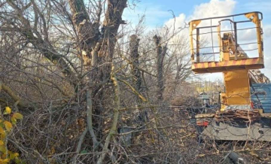 Сотрудники МУП «Елец-Сервис» продолжают работы по благоустройству города