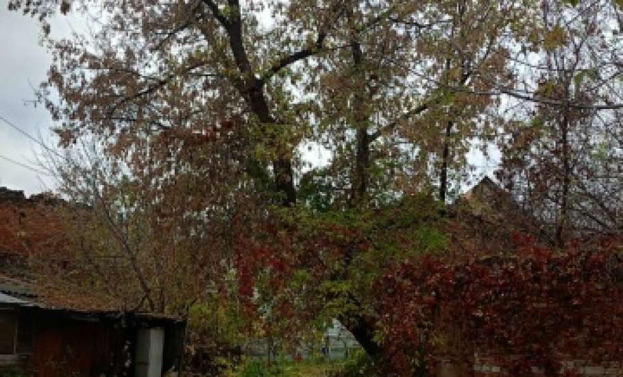 Сотрудники МУП «Елец-Сервис» продолжают работы по благоустройству города