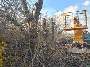 Сотрудники МУП «Елец-Сервис» продолжают работы по благоустройству города