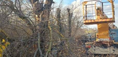 Сотрудники МУП «Елец-Сервис» продолжают работы по благоустройству города