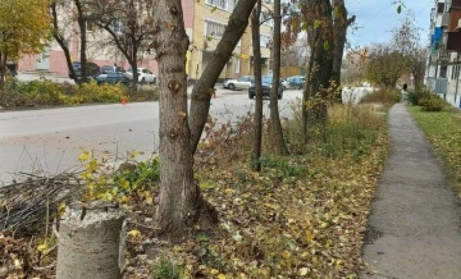 Сотрудники МУП «Елец-Сервис» продолжают работы по благоустройству города