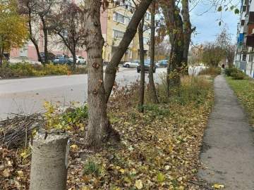 Сотрудники МУП «Елец-Сервис» продолжают работы по благоустройству города