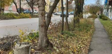 Сотрудники МУП «Елец-Сервис» продолжают работы по благоустройству города