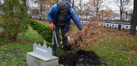 В сквере Ани Гайтеровой появились новые зеленые пушистые красавицы!