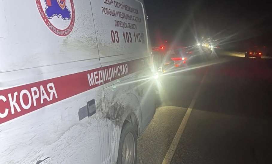 Лось на Елецкой трассе чуть не стал причиной трагедии с участием машины скорой помощи