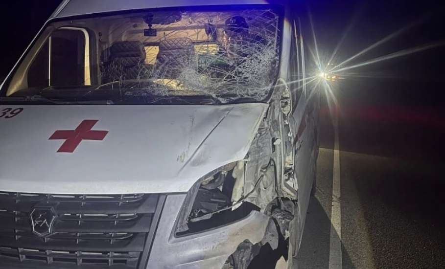 Лось на Елецкой трассе чуть не стал причиной трагедии с участием машины скорой помощи