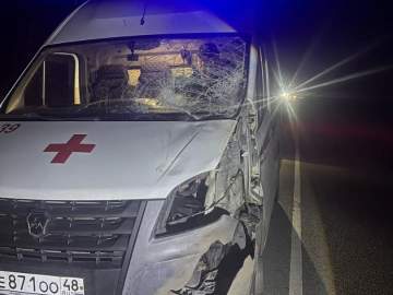 Лось на Елецкой трассе чуть не стал причиной трагедии с участием машины скорой помощи