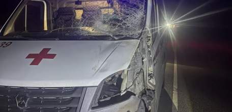 Лось на Елецкой трассе чуть не стал причиной трагедии с участием машины скорой помощи