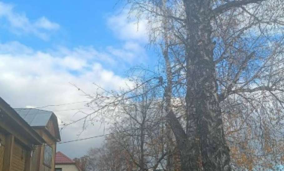 Сотрудники МУП «Елец-Сервис» продолжают работы по благоустройству города