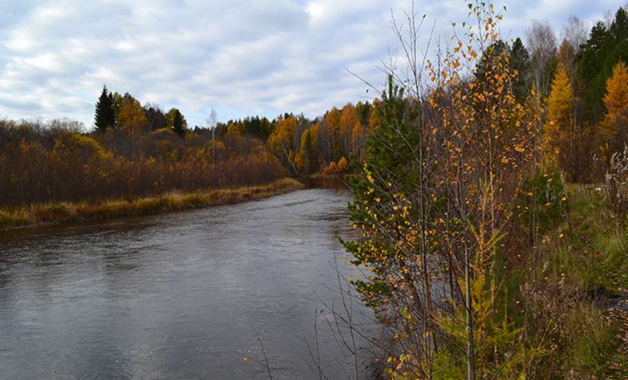 Тело мужчины нашли в реке Быстрая Сосна!