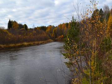 Тело мужчины нашли в реке Быстрая Сосна!