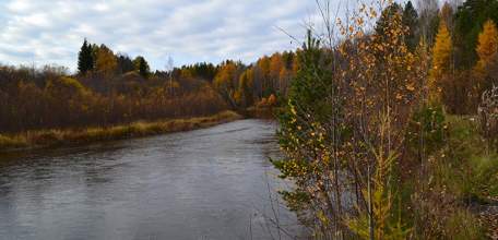 Тело мужчины нашли в реке Быстрая Сосна!