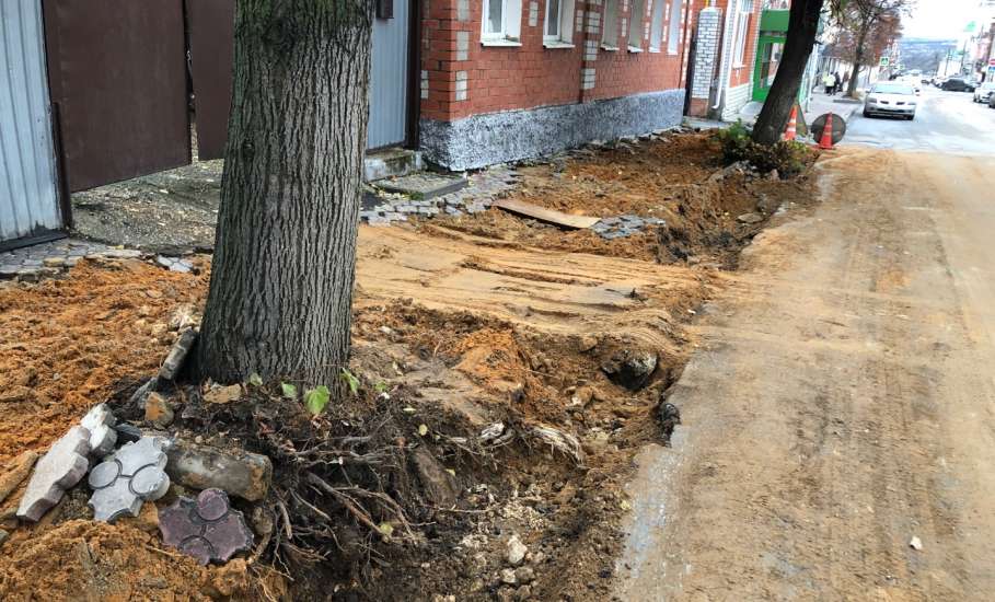 В центре Ельца опять повредили корневую систему деревьев при благоустройстве!