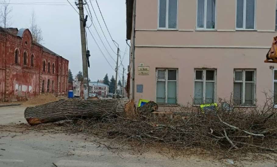 Сотрудники МУП «Елец-Сервис» продолжают работы по благоустройству города