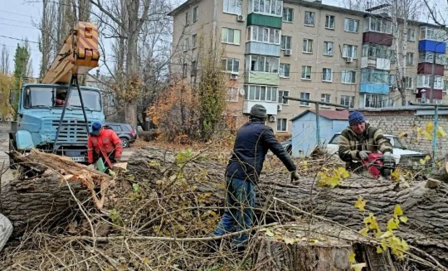 Сотрудники МУП «Елец-Сервис» продолжают работы по благоустройству города